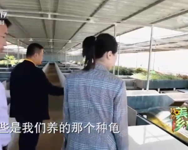 CCTV17我的美麗鄉村